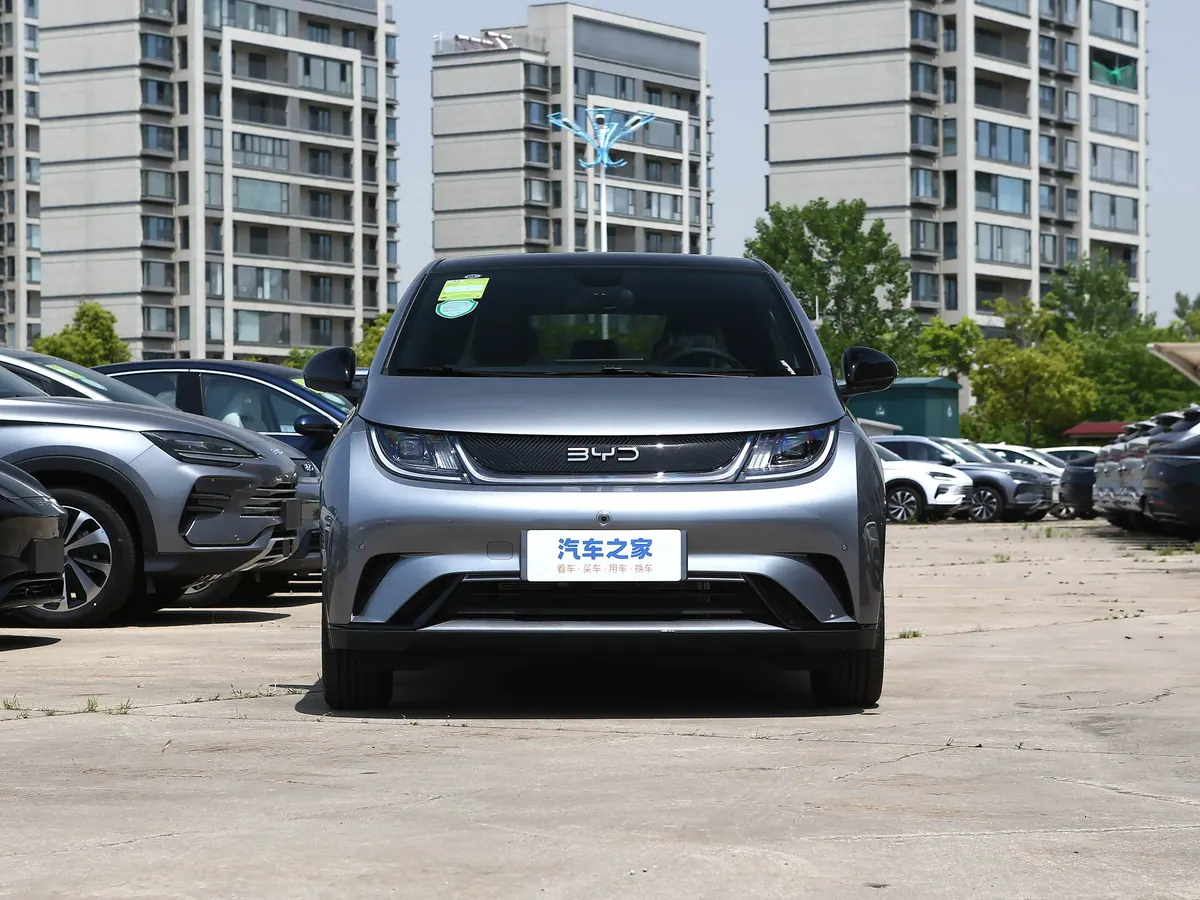 BYD Dolphin - photo illustrative 2