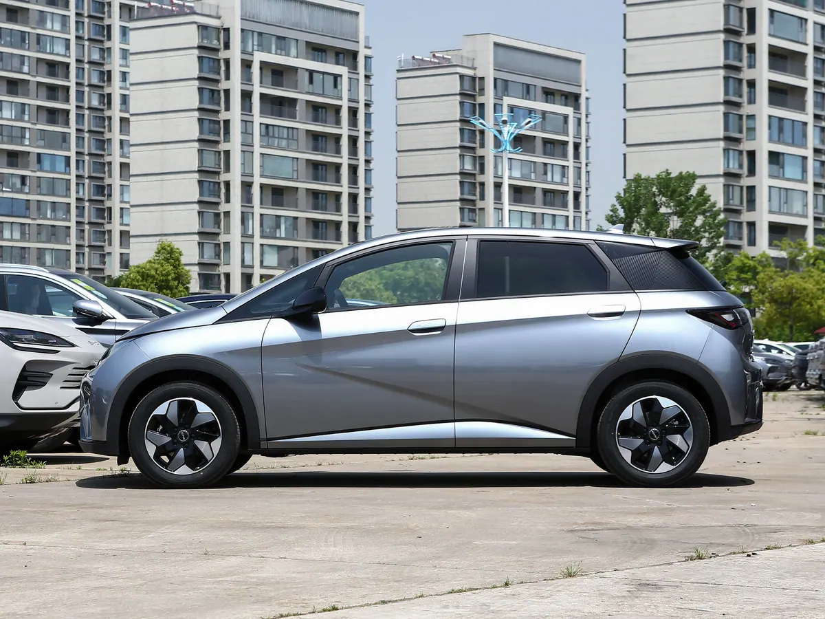 BYD Dolphin - photo illustrative 3