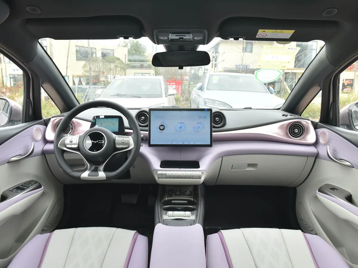 BYD Dolphin - photo illustrative 5