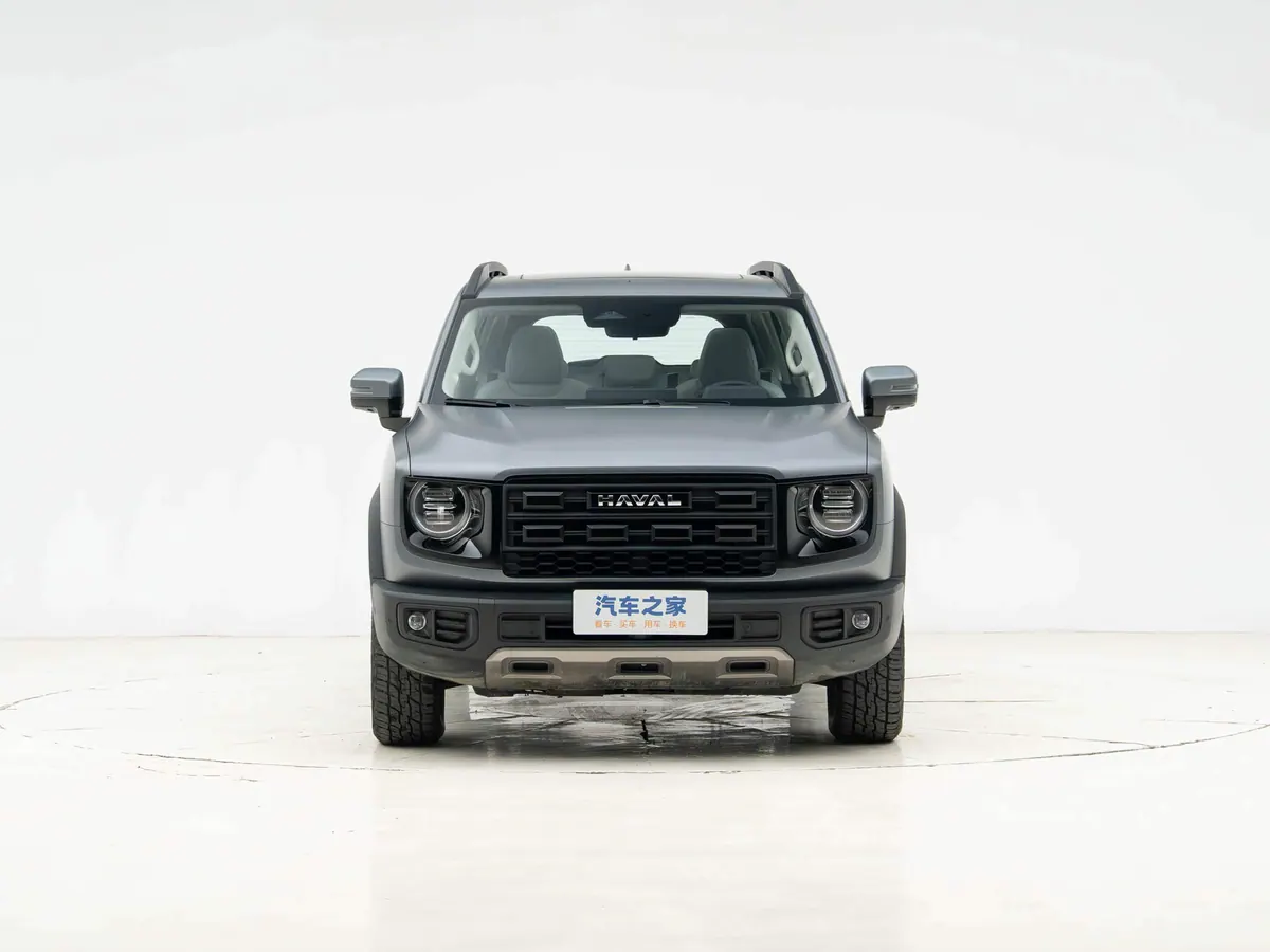 Haval Big Dog - photo illustrative 2